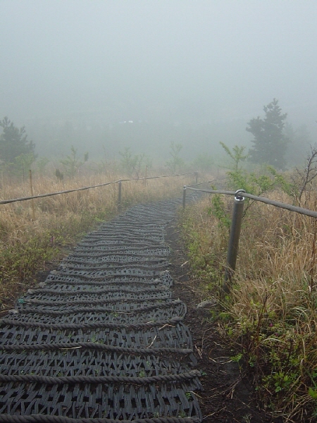 12-2006춘계수련대회/제주 - 다랑쉬오름의 가파른 길..