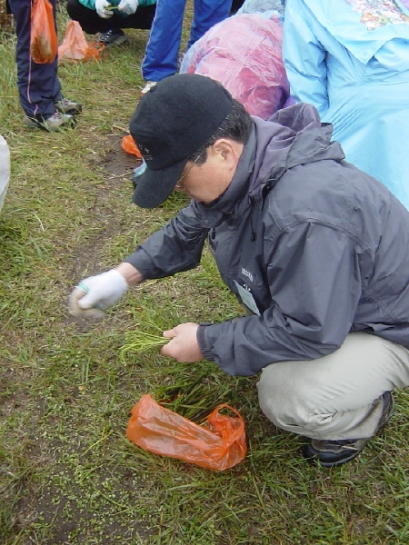 41-2006춘계수련대회/제주 - 고사리 체험-이석우 상임이사