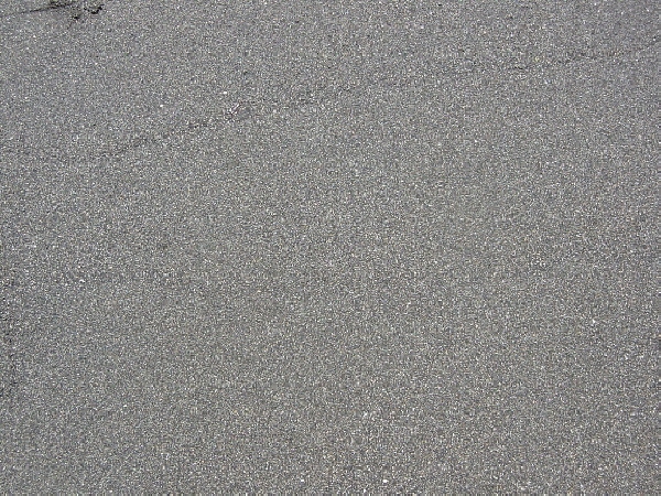 67-2006춘계수련대회/제주 - 송악산 검은모래 해변