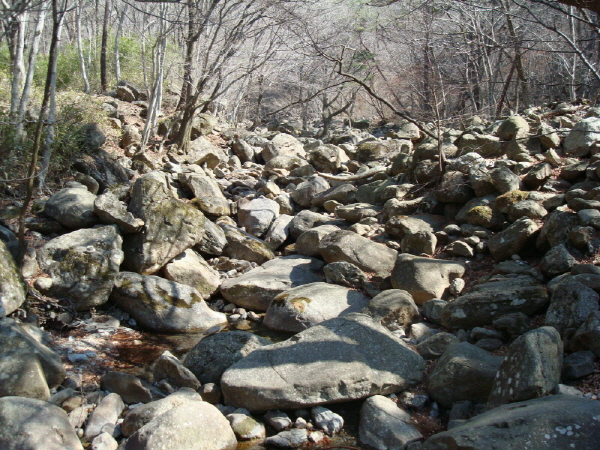 사찰순례 화엄사 - 화엄사 계곡(연기암가는길)