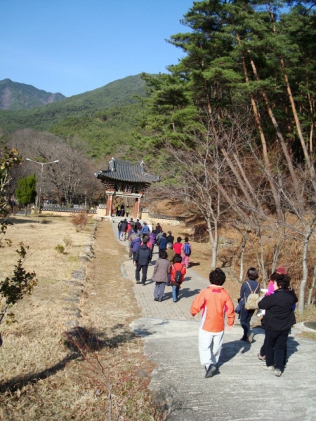 사찰순례 천은사 - 숨겨진 웃물을 찾아보자