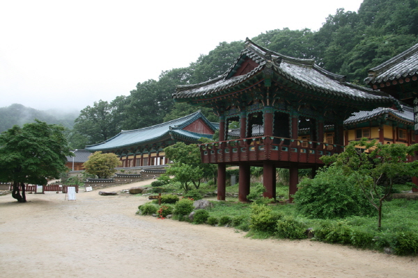 신흥사 낙산사 사찰순례 - 설악산 신흥사 사찰순례