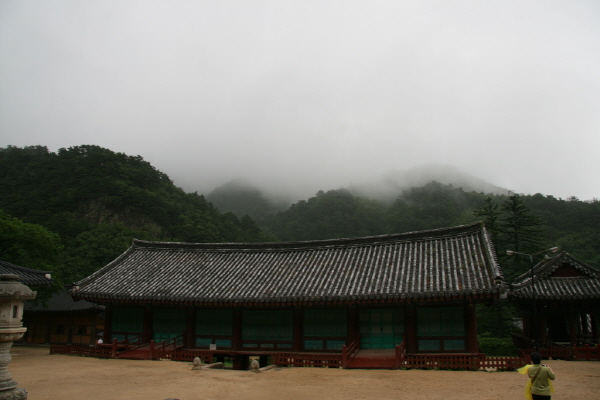 신흥사 낙산사 사찰순례 - 안개와함께