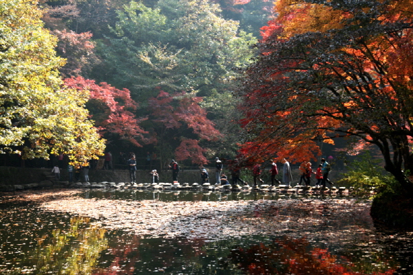 13차 사찰순례 백양사 - 백양사